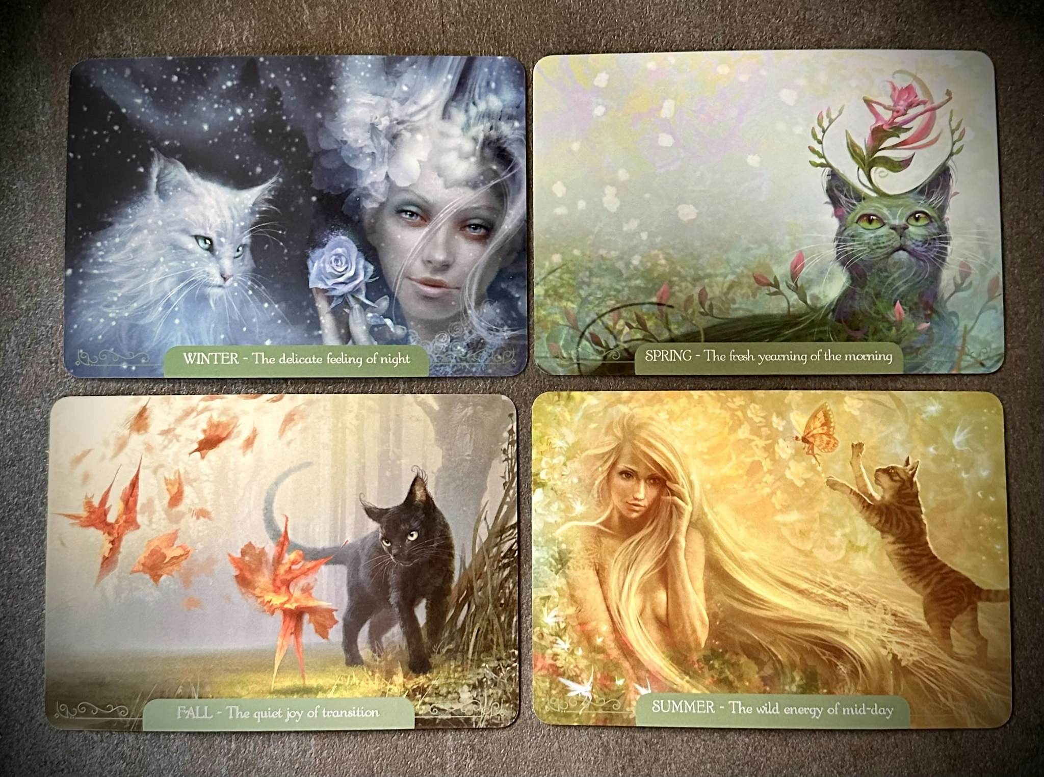 Fantasy Cats Oracle Visex 50%