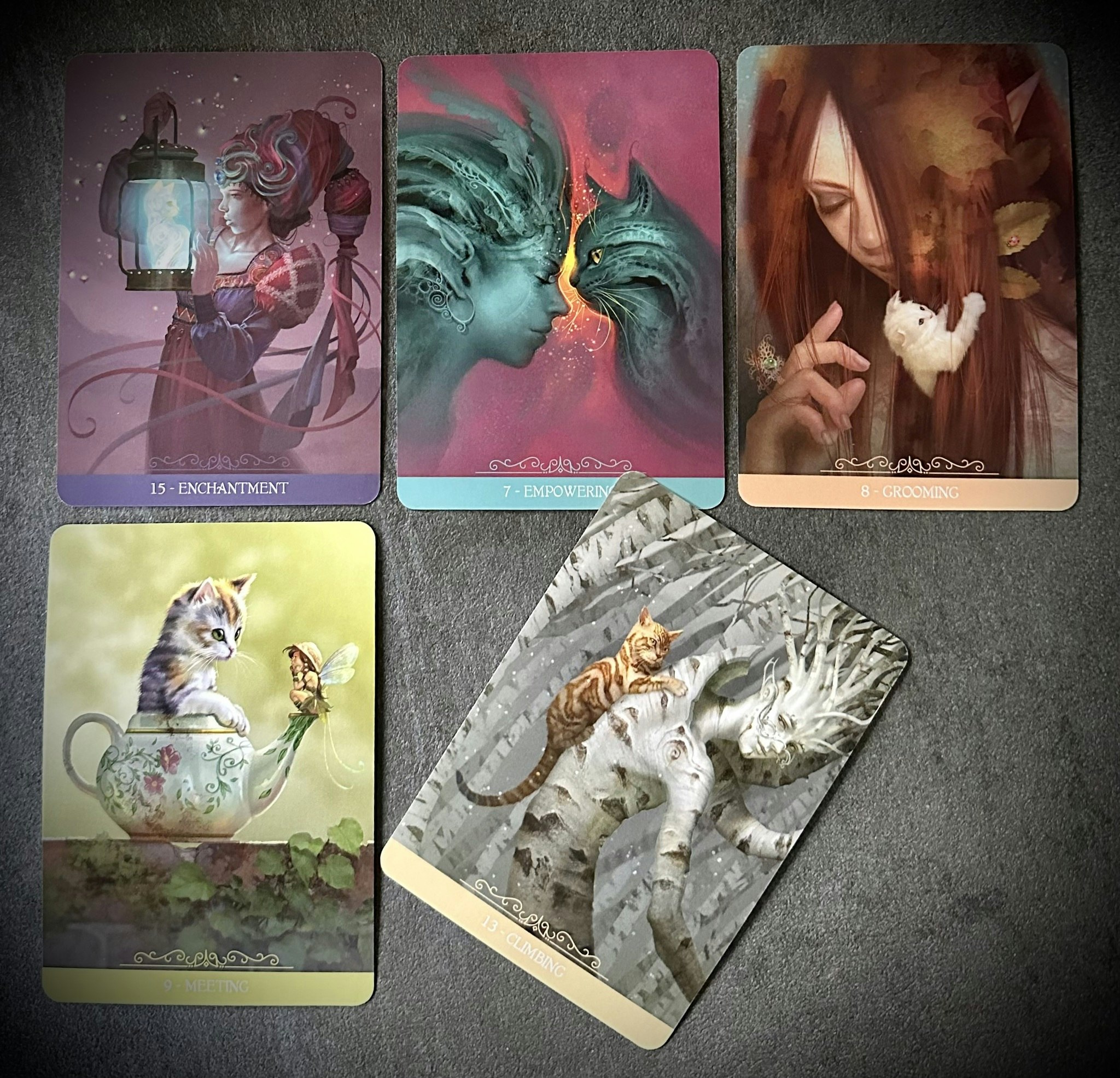 Fantasy Cats Oracle Visex 50%