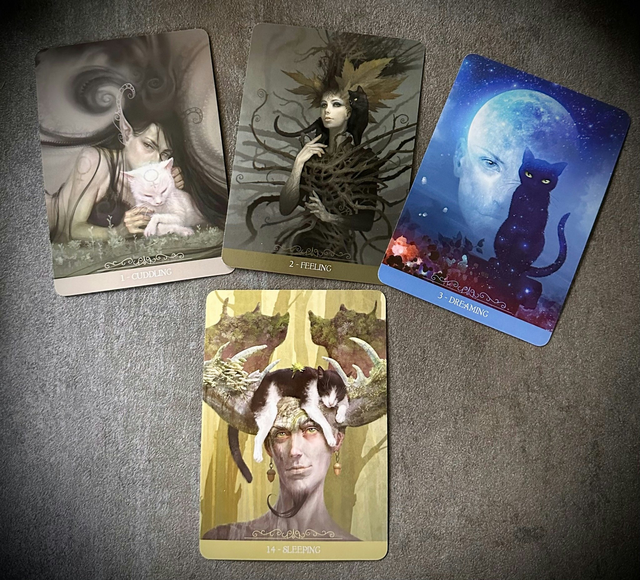 Fantasy Cats Oracle Visex 50%