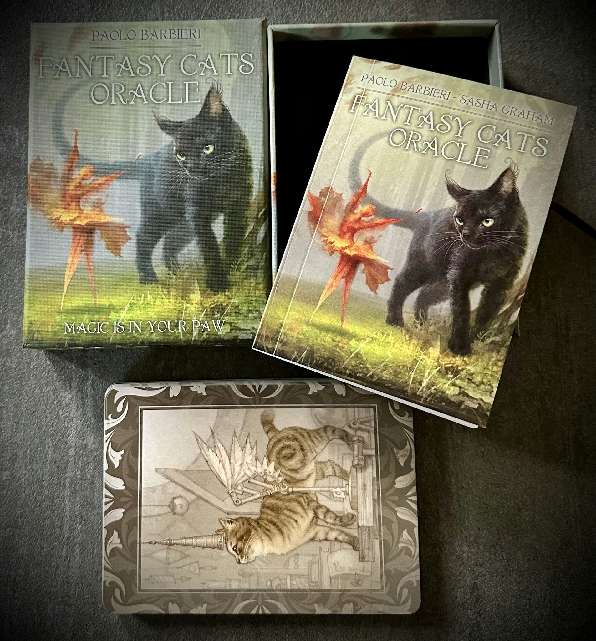 Fantasy Cats Oracle Visex 50%