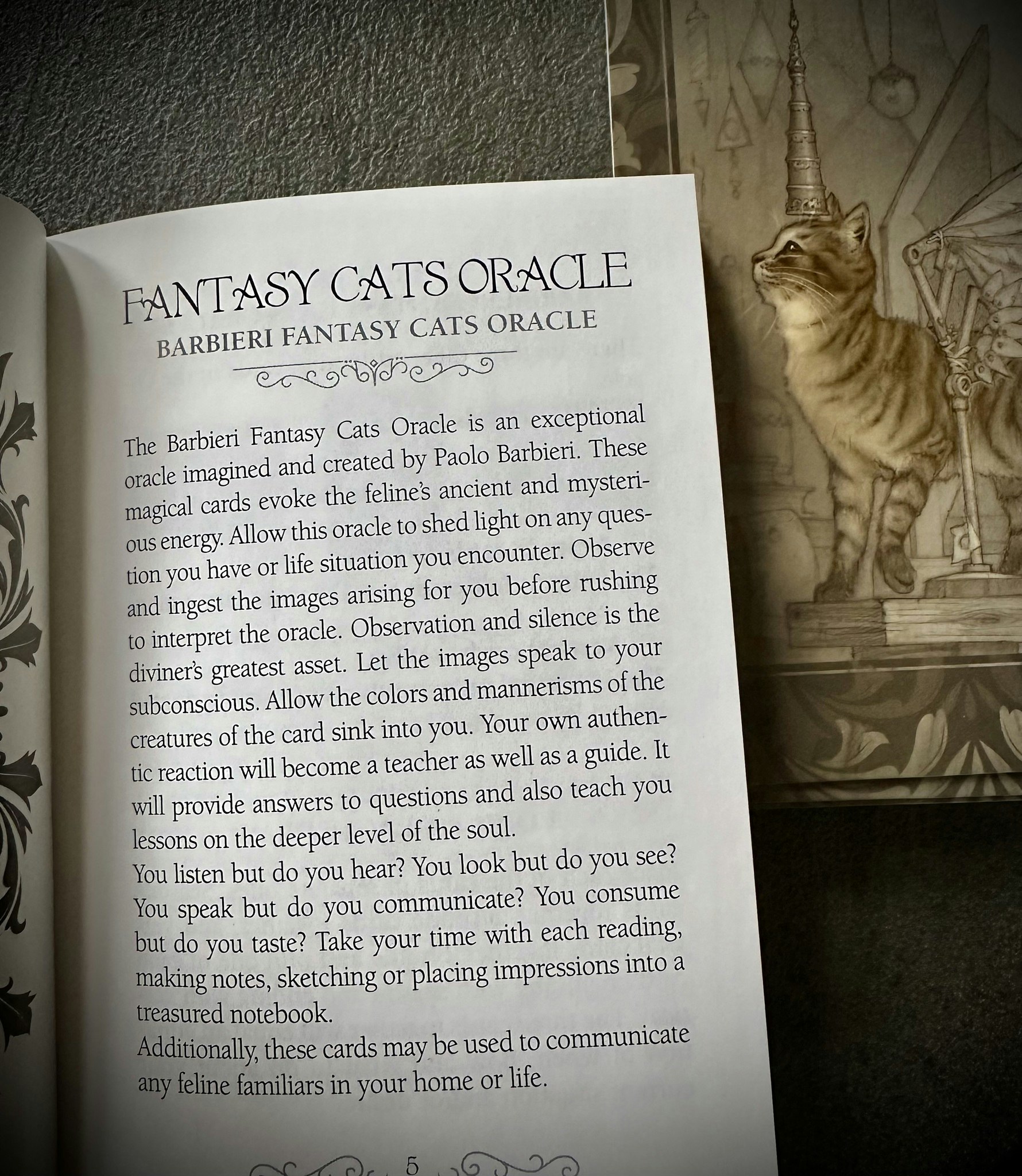 Fantasy Cats Oracle Visex 50%