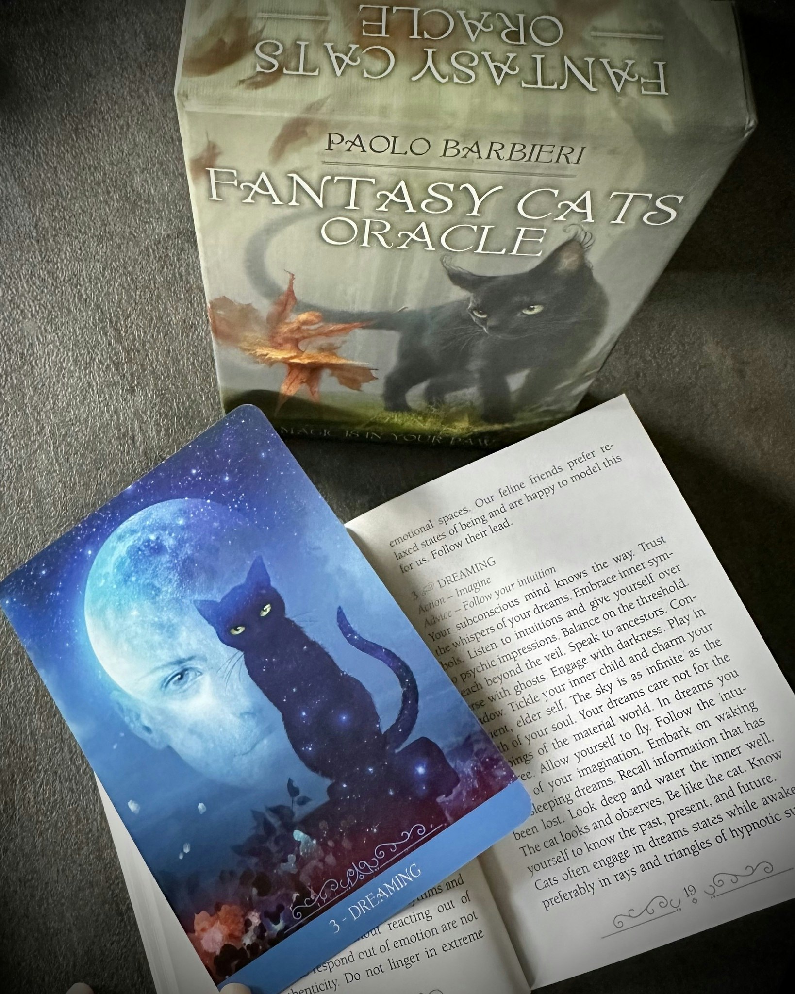 Fantasy Cats Oracle Visex 50%