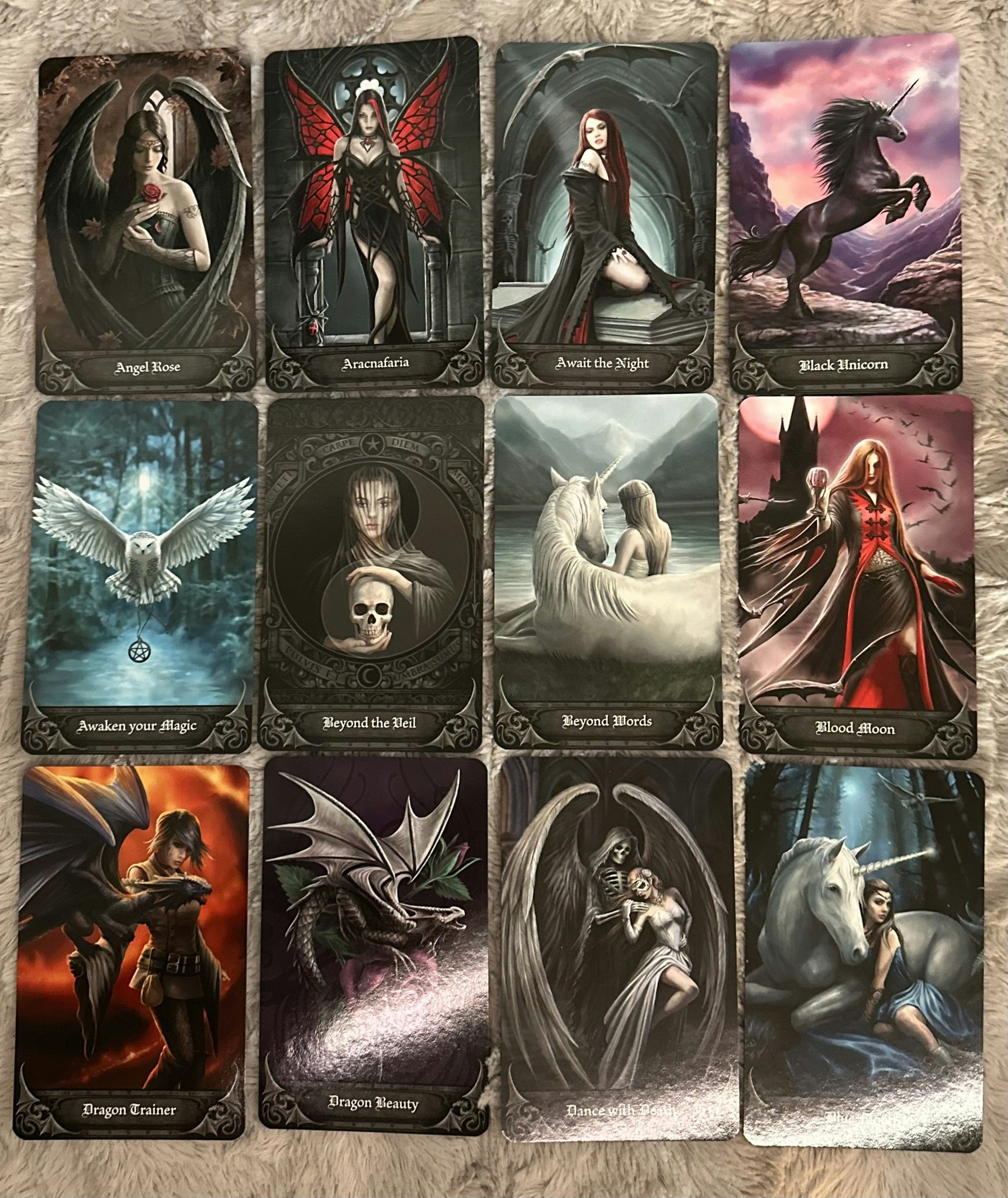 Anne Stokes Gothic Oracle Visex 50%