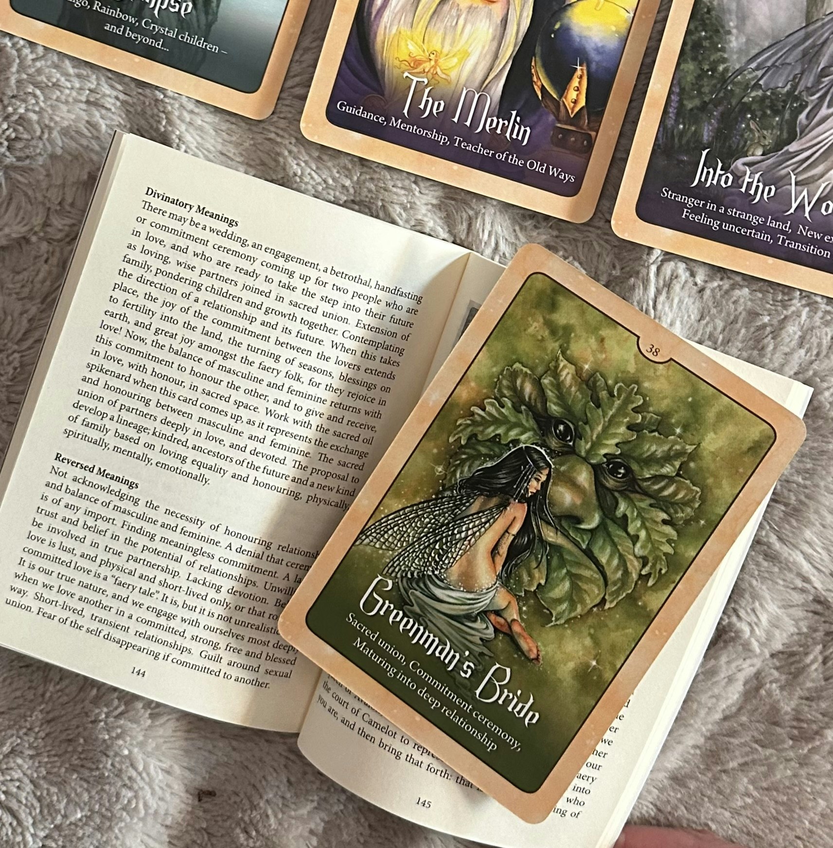 Wild Wisdom Of The Faery Oracle New Edition Visex 50%