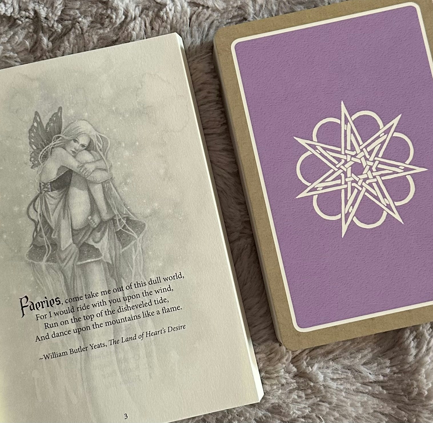 Wild Wisdom Of The Faery Oracle New Edition Visex 50%