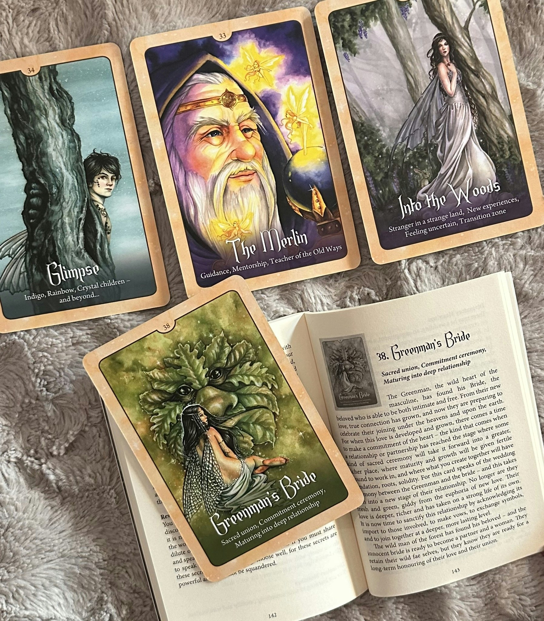 Wild Wisdom Of The Faery Oracle New Edition Visex 50%