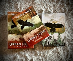 Urban Crow Oracle