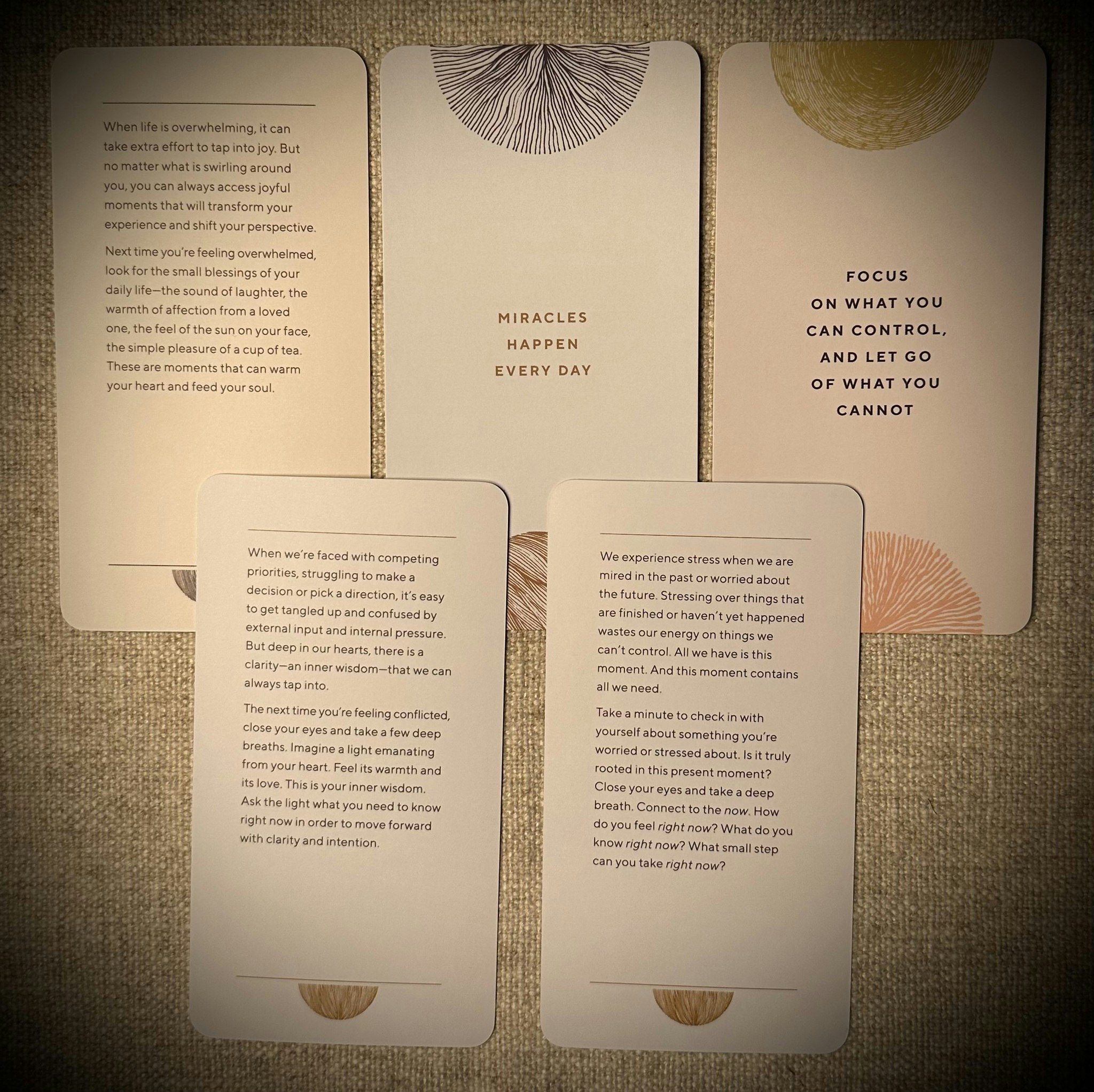 Calm The Chaos Cards Visex 50%