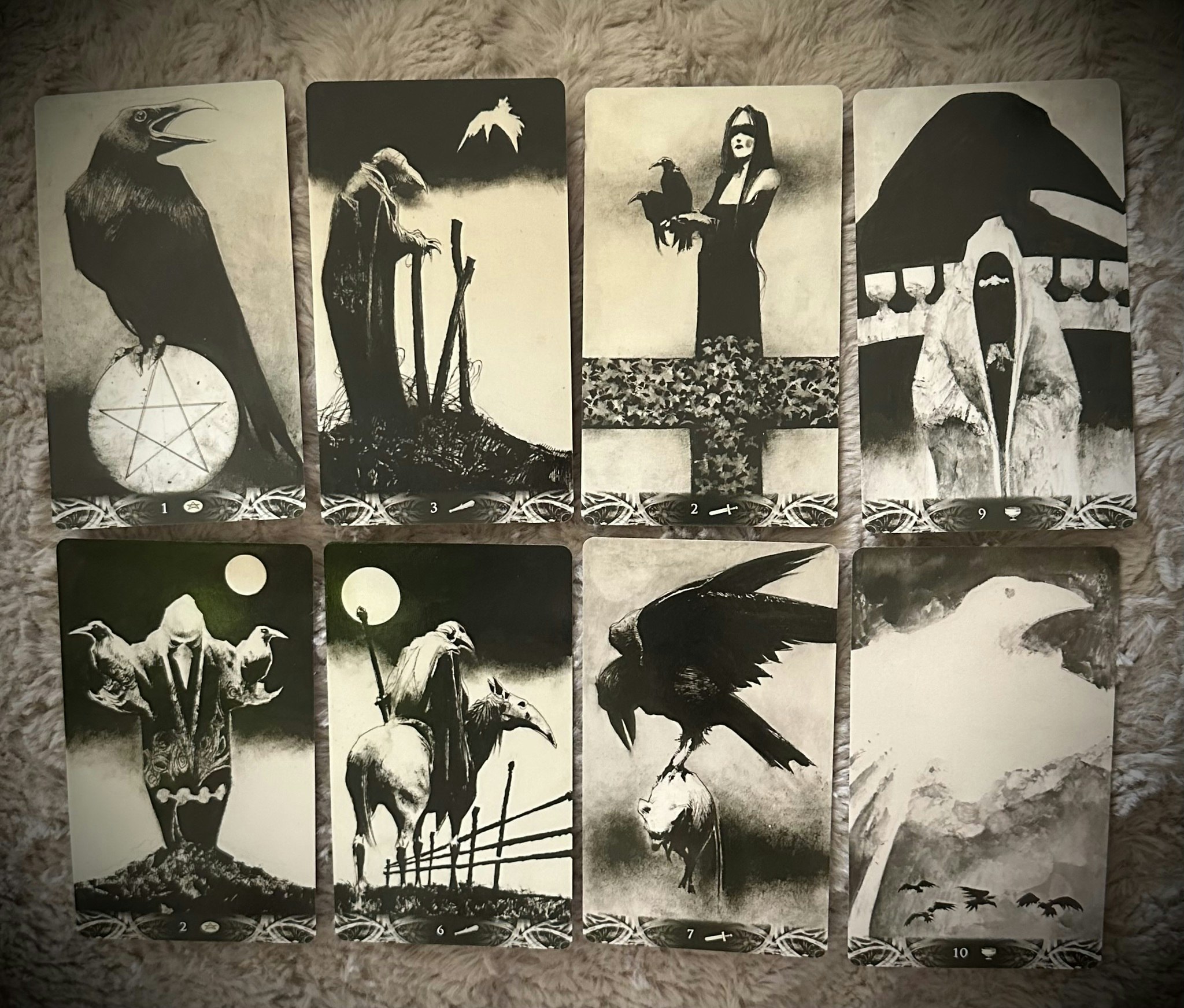 Murder Of Crows Tarot ( Boxed )