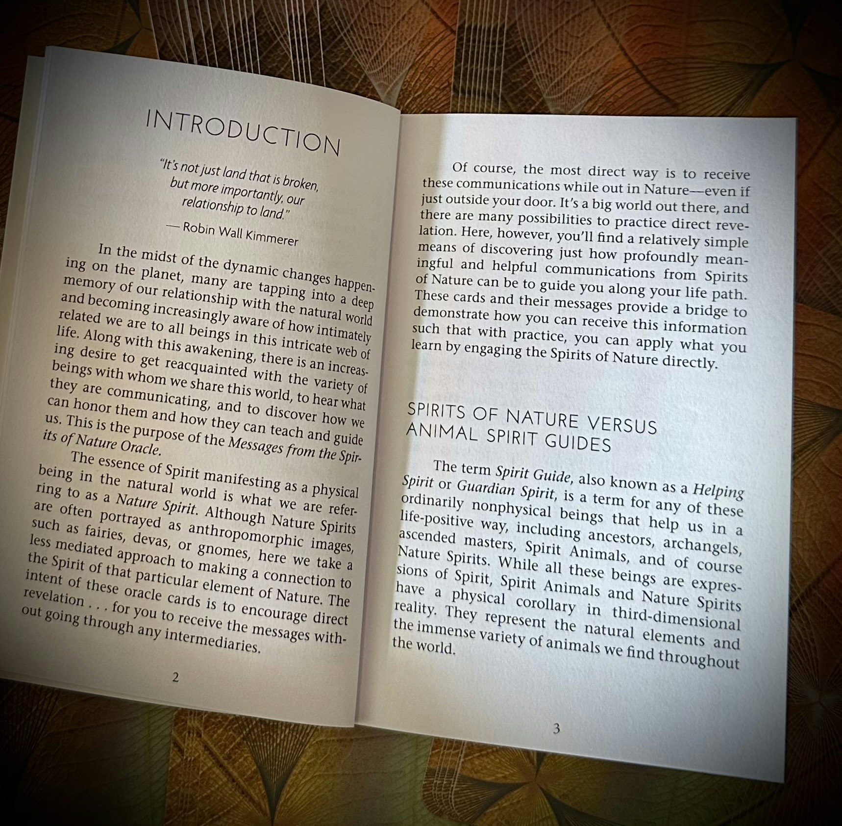 Messages from the Spirits of Nature Oracle Visex 50%