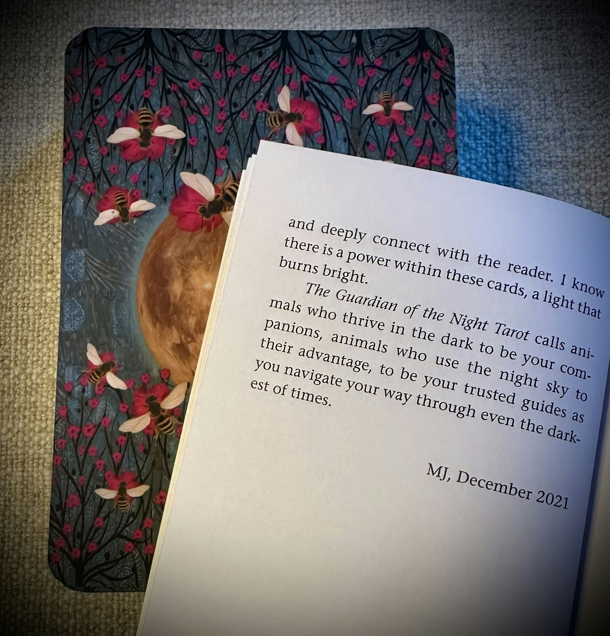 The Guardian Of The Night Tarot
