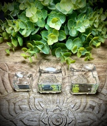 Klotställ Glas