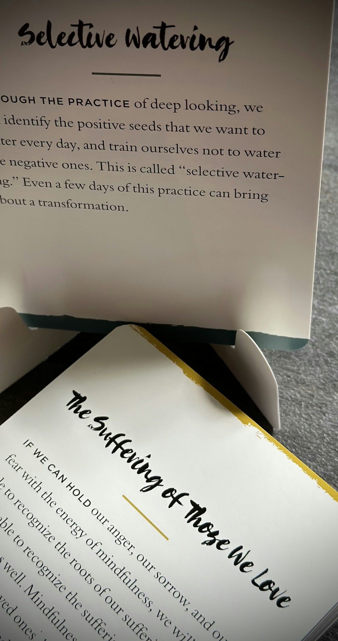 Everyday Peace Cards 108 Mindfulness Meditations