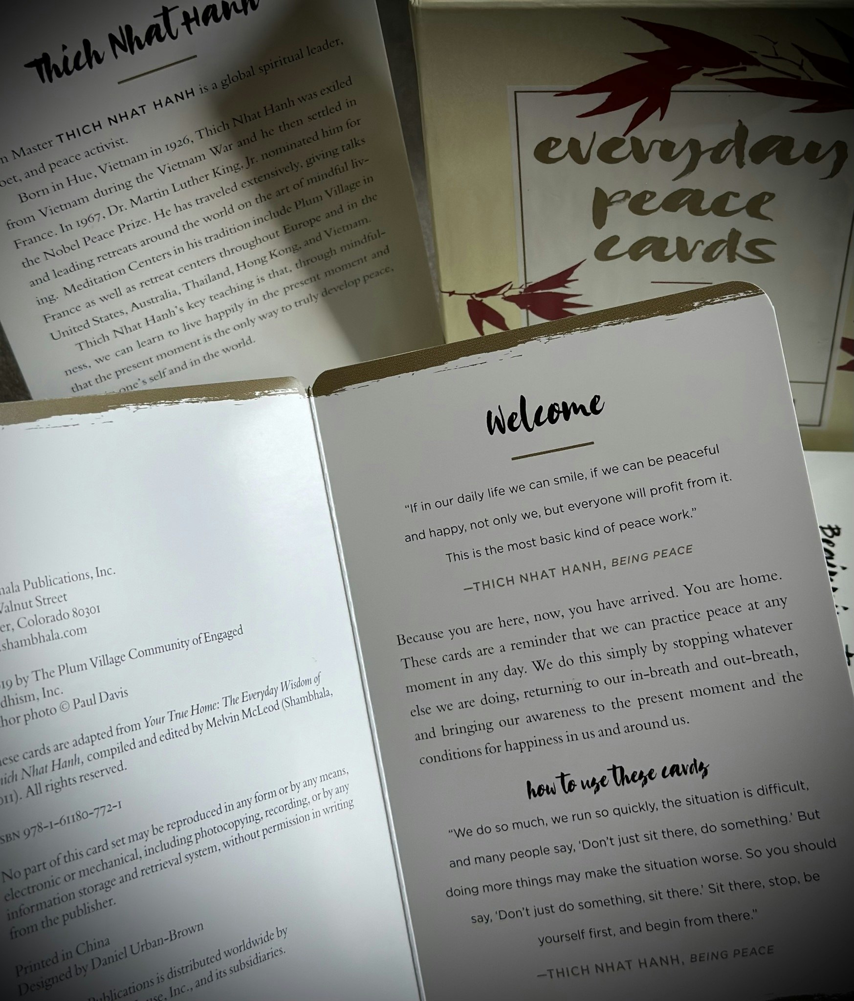 Everyday Peace Cards 108 Mindfulness Meditations