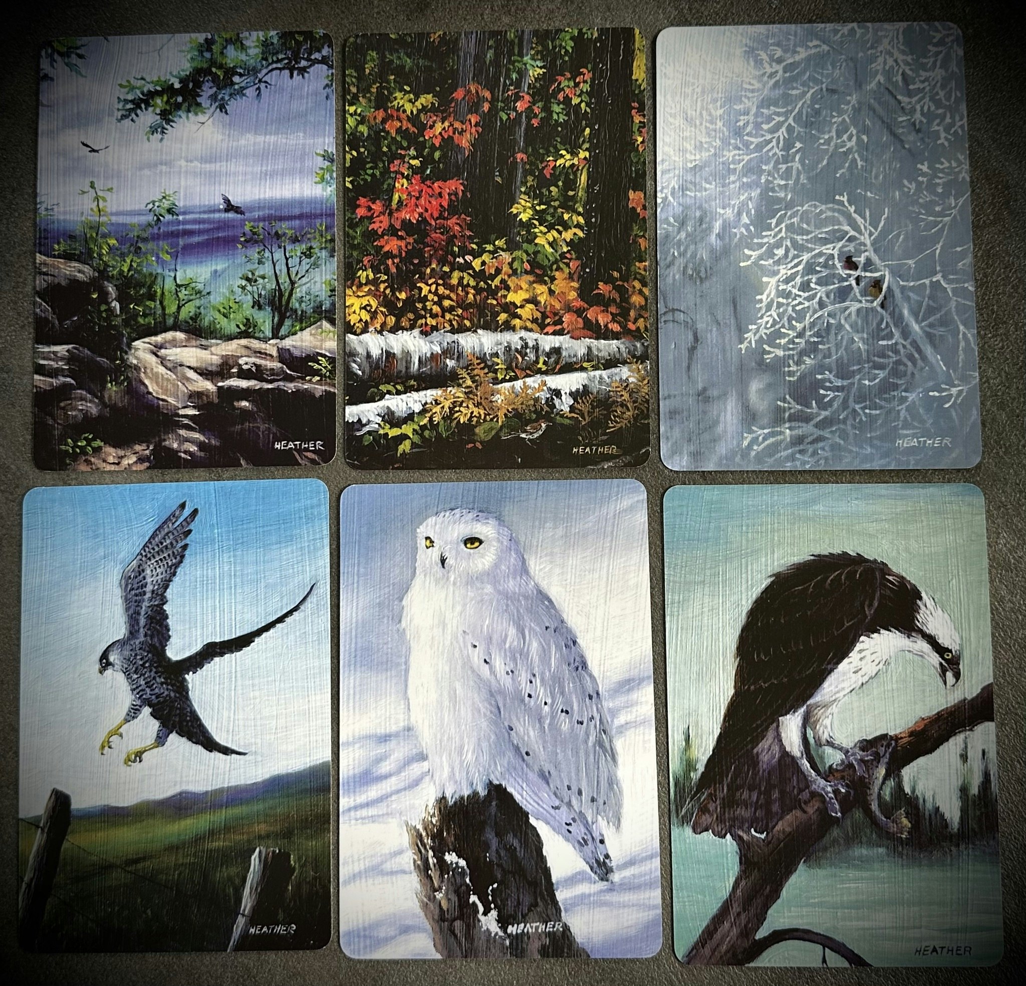 Bird Vibes Meditation Cards