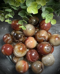 Sardonyx