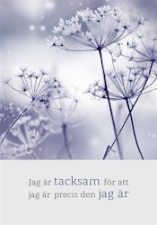 Jag Är Tacksam För Att Jag Är Precis Den Jag Är