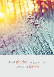 Med Glädje Tar Jag Emot Livets Alla Gåvor