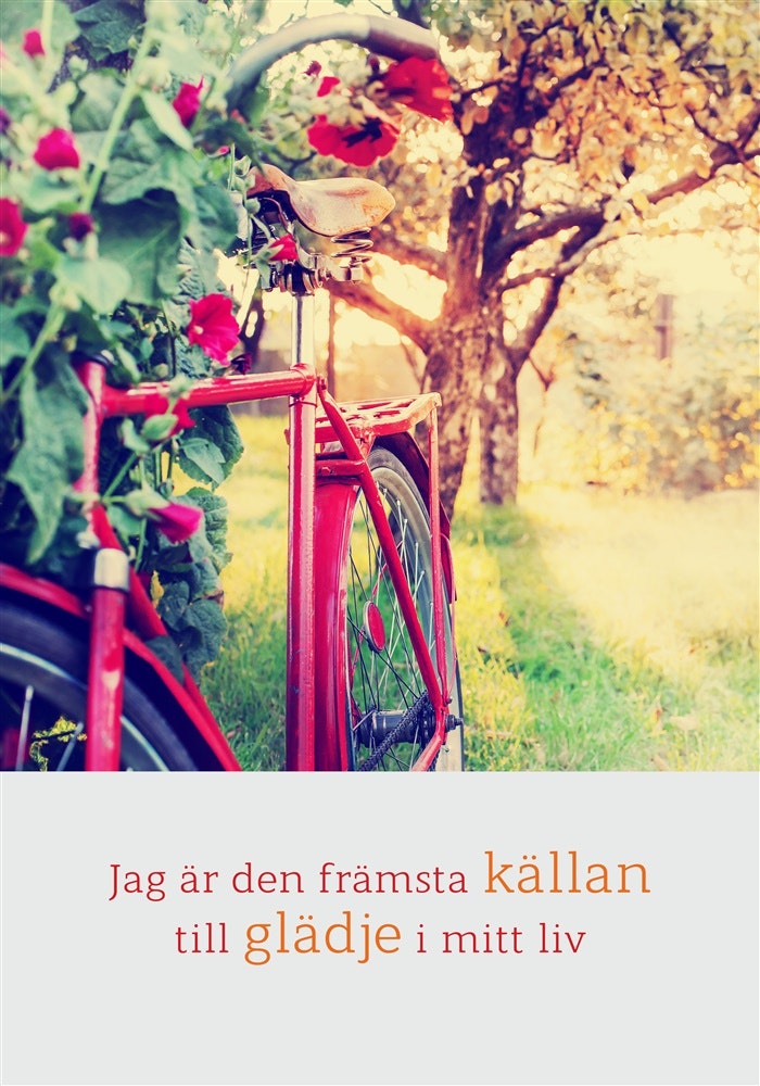 Jag Är Den Främsta Källan Till Glädje I Mitt Liv