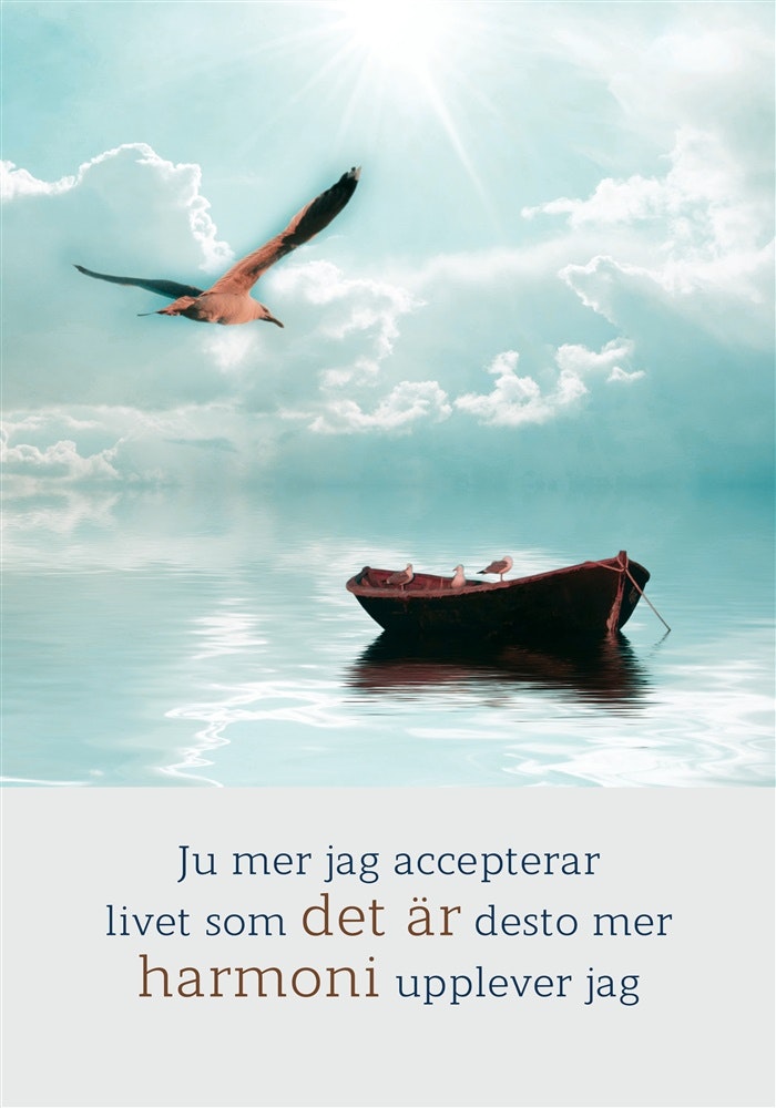 Ju Mer Jag Accepterar Livet Som Det Är Desto Mer Harmoni Känner Jag