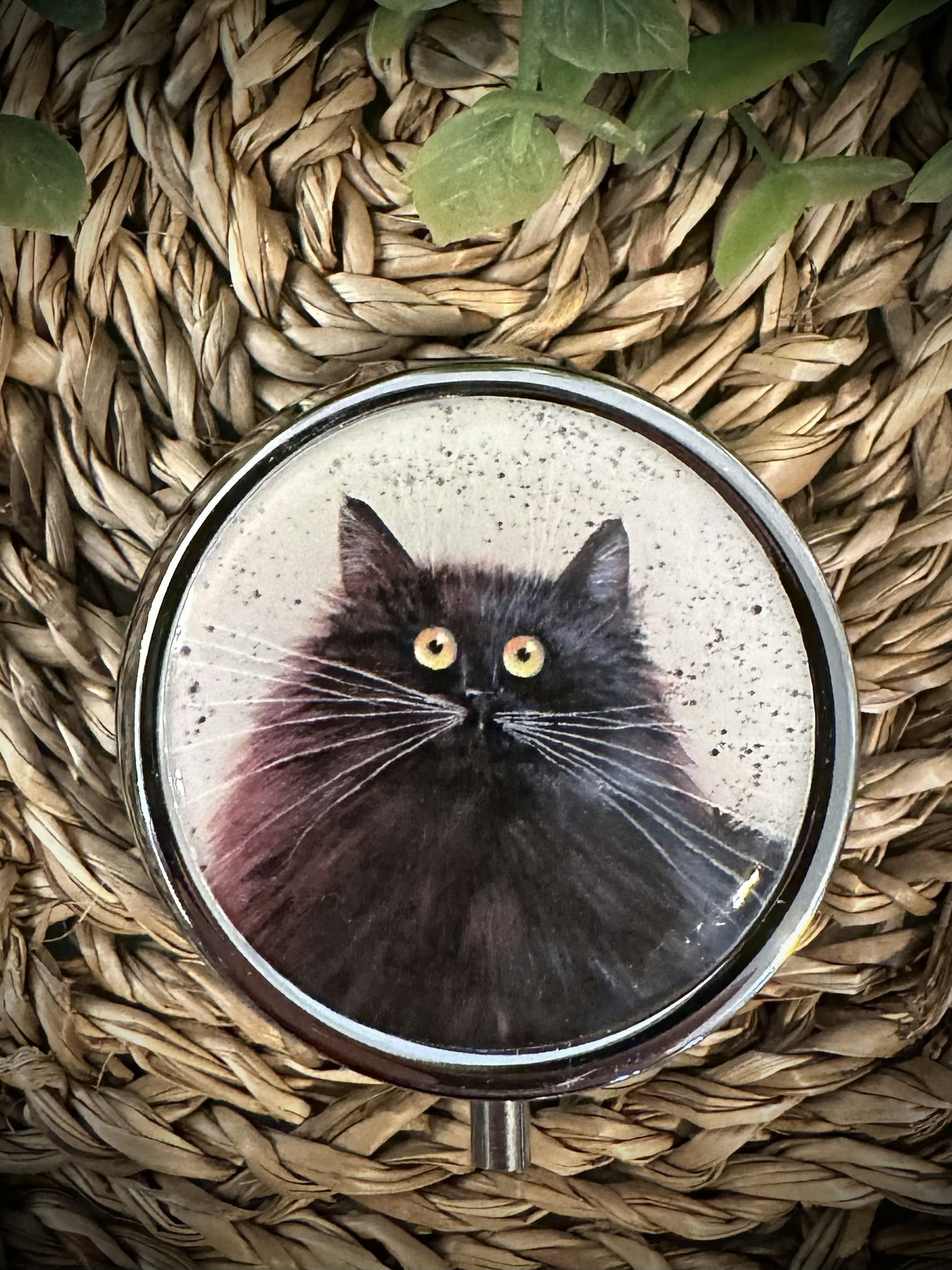 Kim Haskins Katt Pillerask