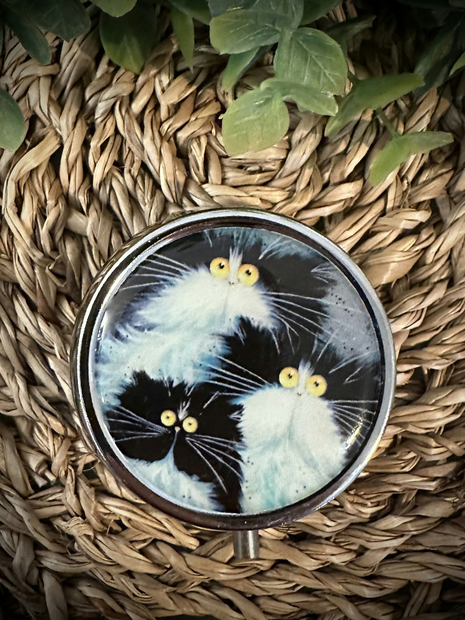 Kim Haskins Katt Pillerask