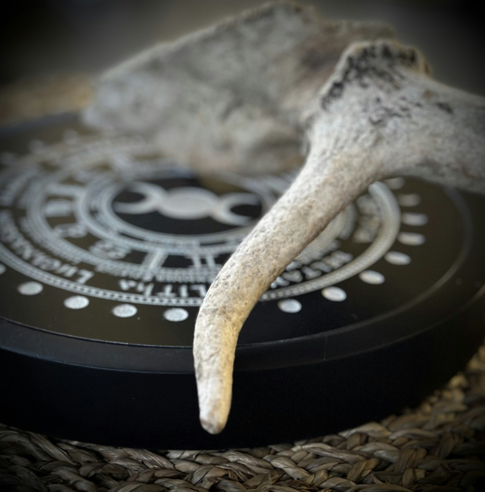 Wheel Of The Year Kristallnät 20 cm