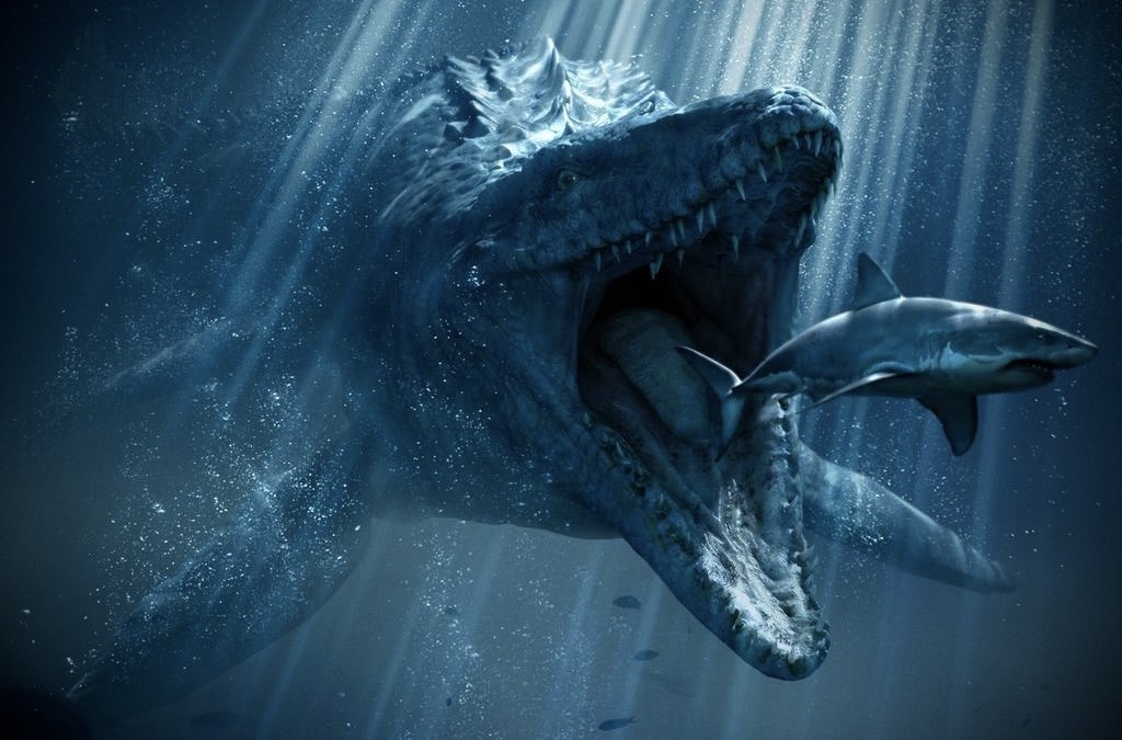 Fossil Mosasaurus Tand
