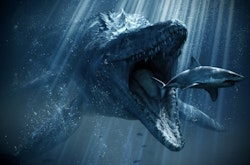 Fossil Mosasaurus Tand