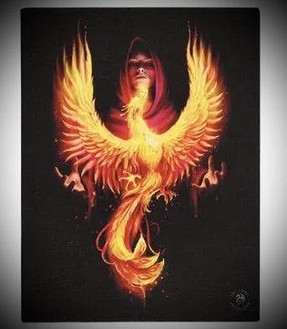 Anne Stokes Canvastavla ”Phoenix Rising”