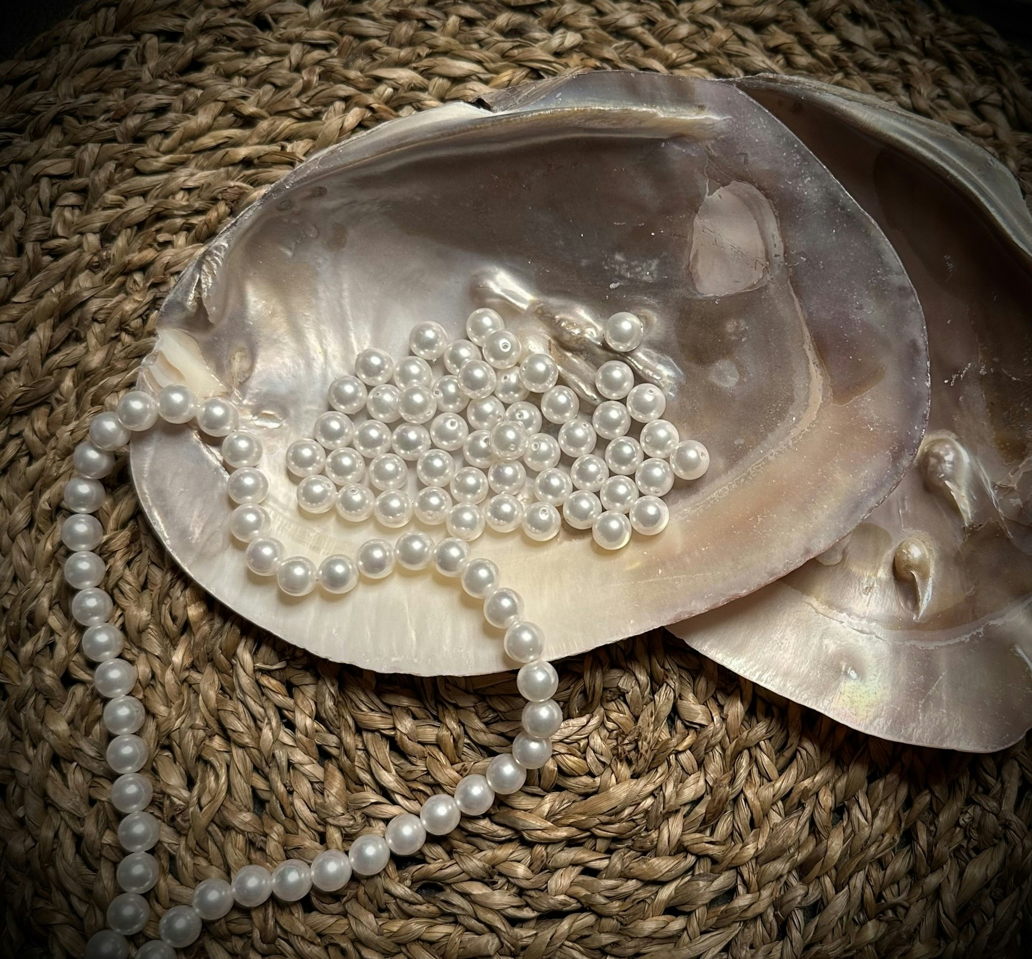 Mother Of Pearl 15-16 cm