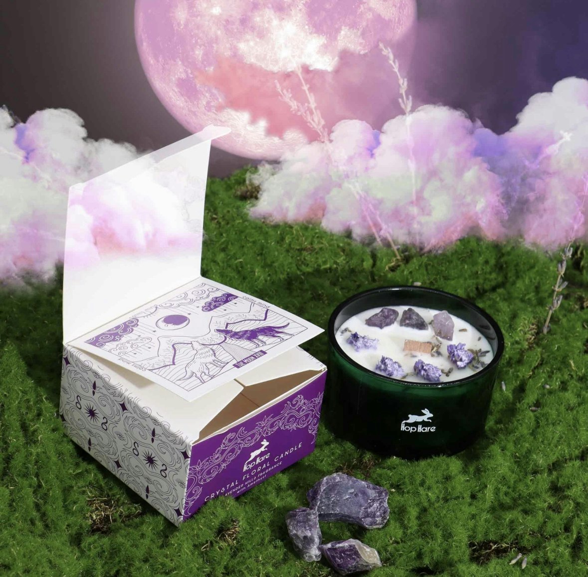 HOP HARE | THE MOON | YOU ARE POWERFUL