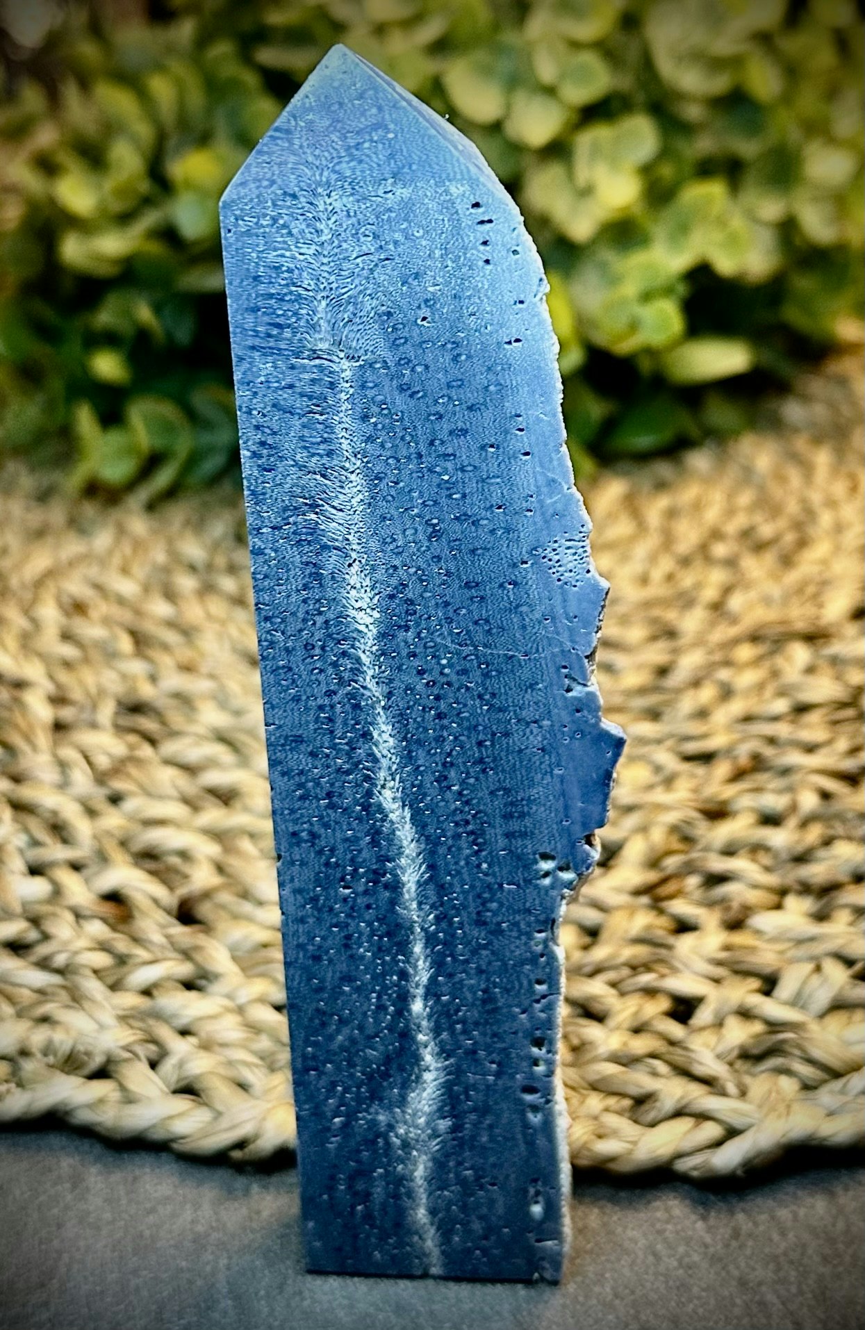 Blue Ridge Korall