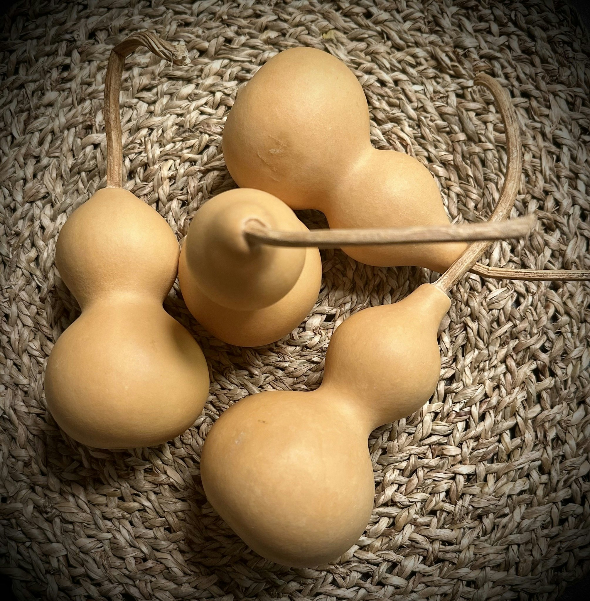 Afrikansk Kalebass