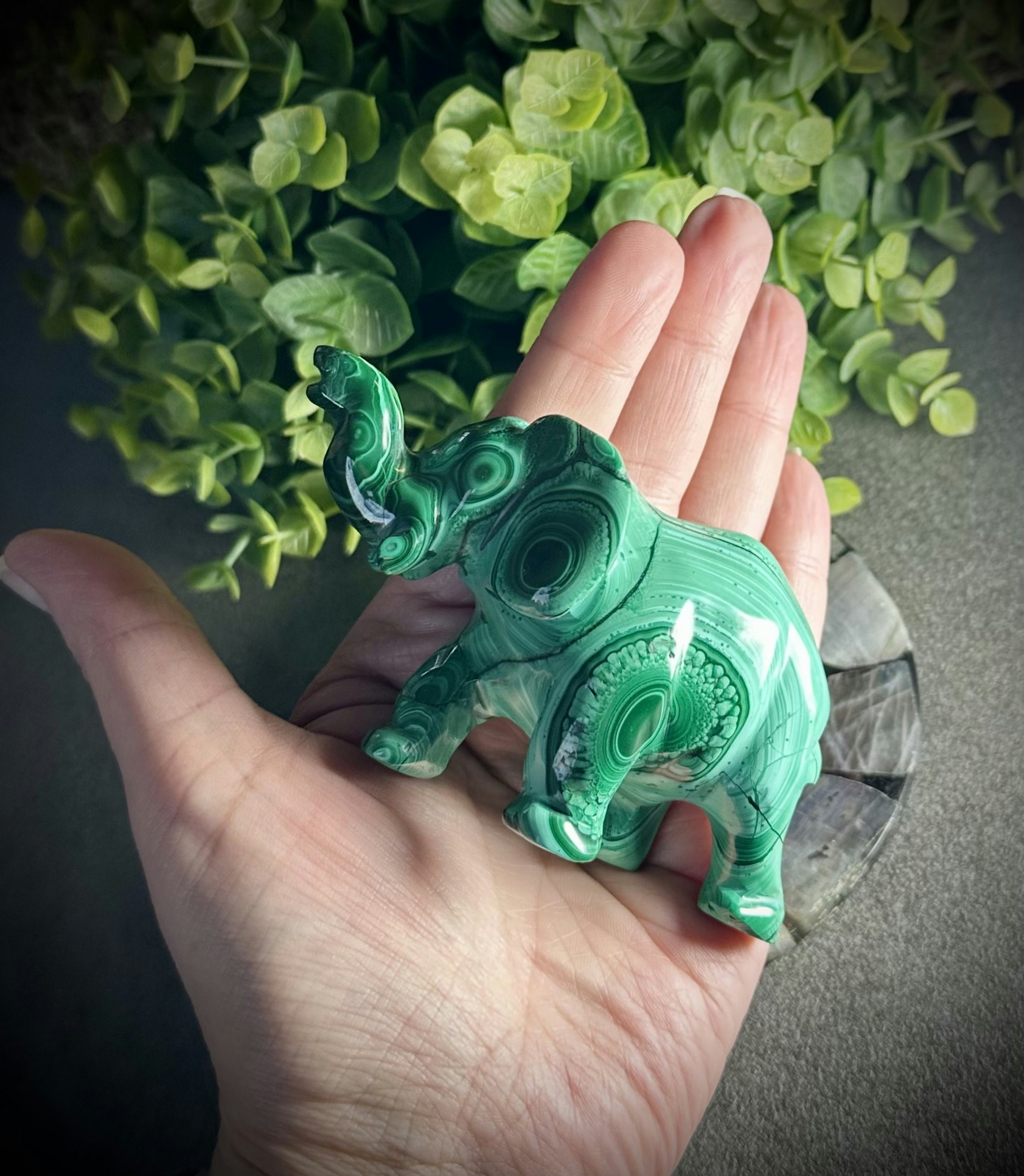 Elefant Carving