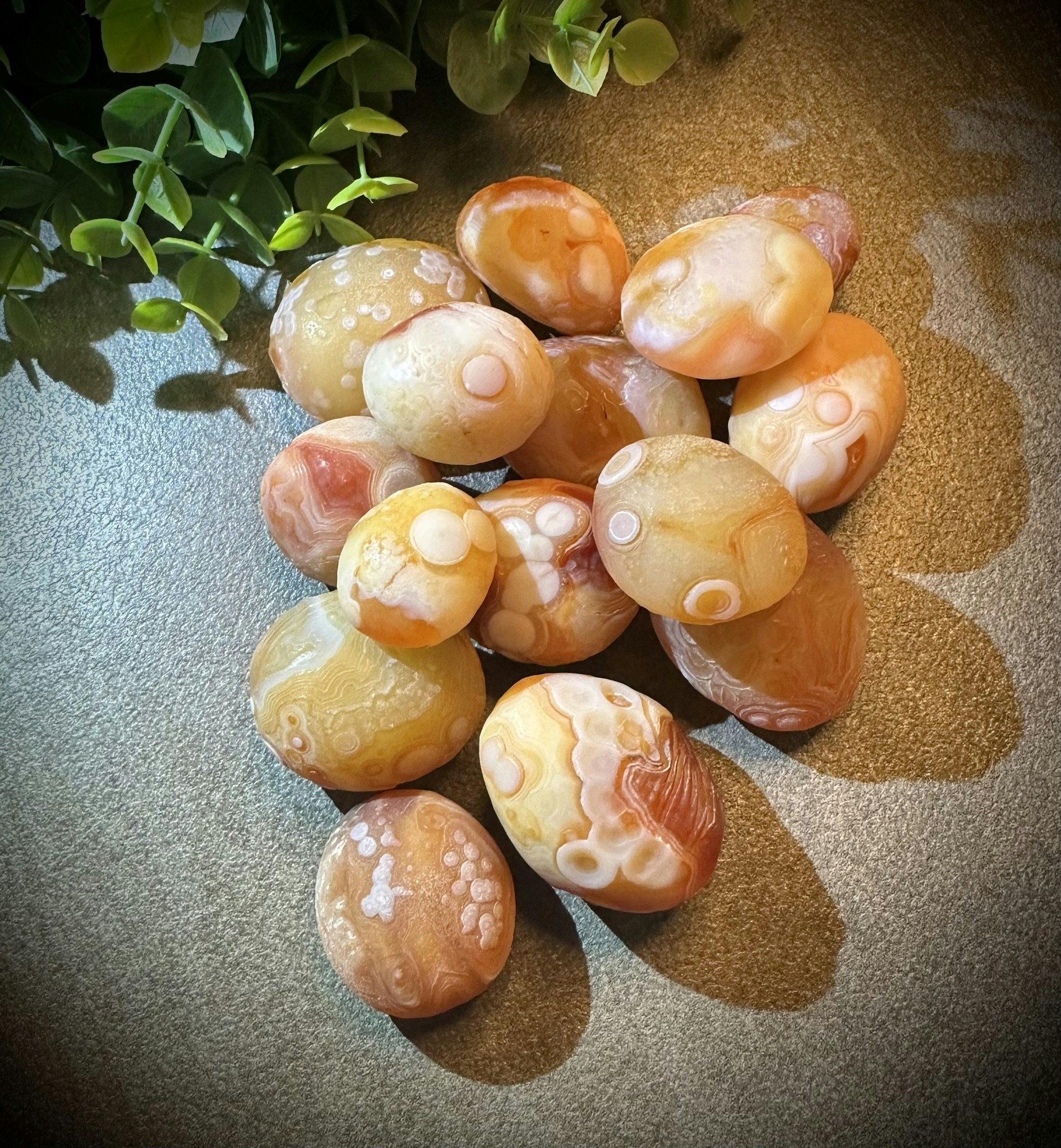 Gobi Ögonagat | Mongolisk Ögonagat