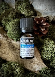 Eterisk olja | Lavendel