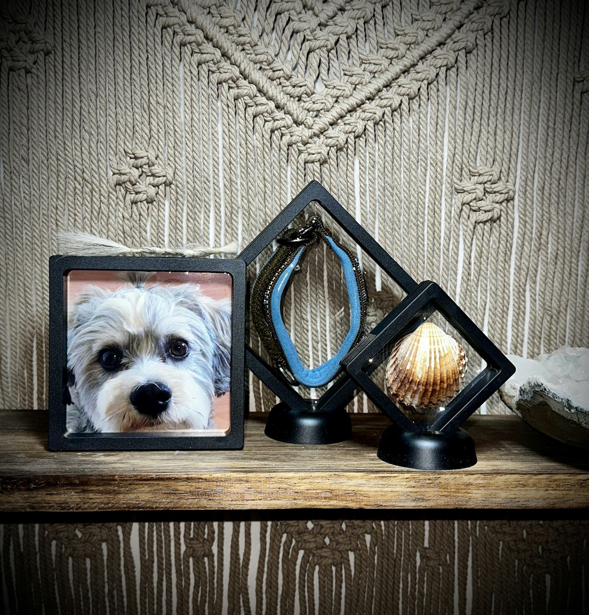 3D Display Med Fot