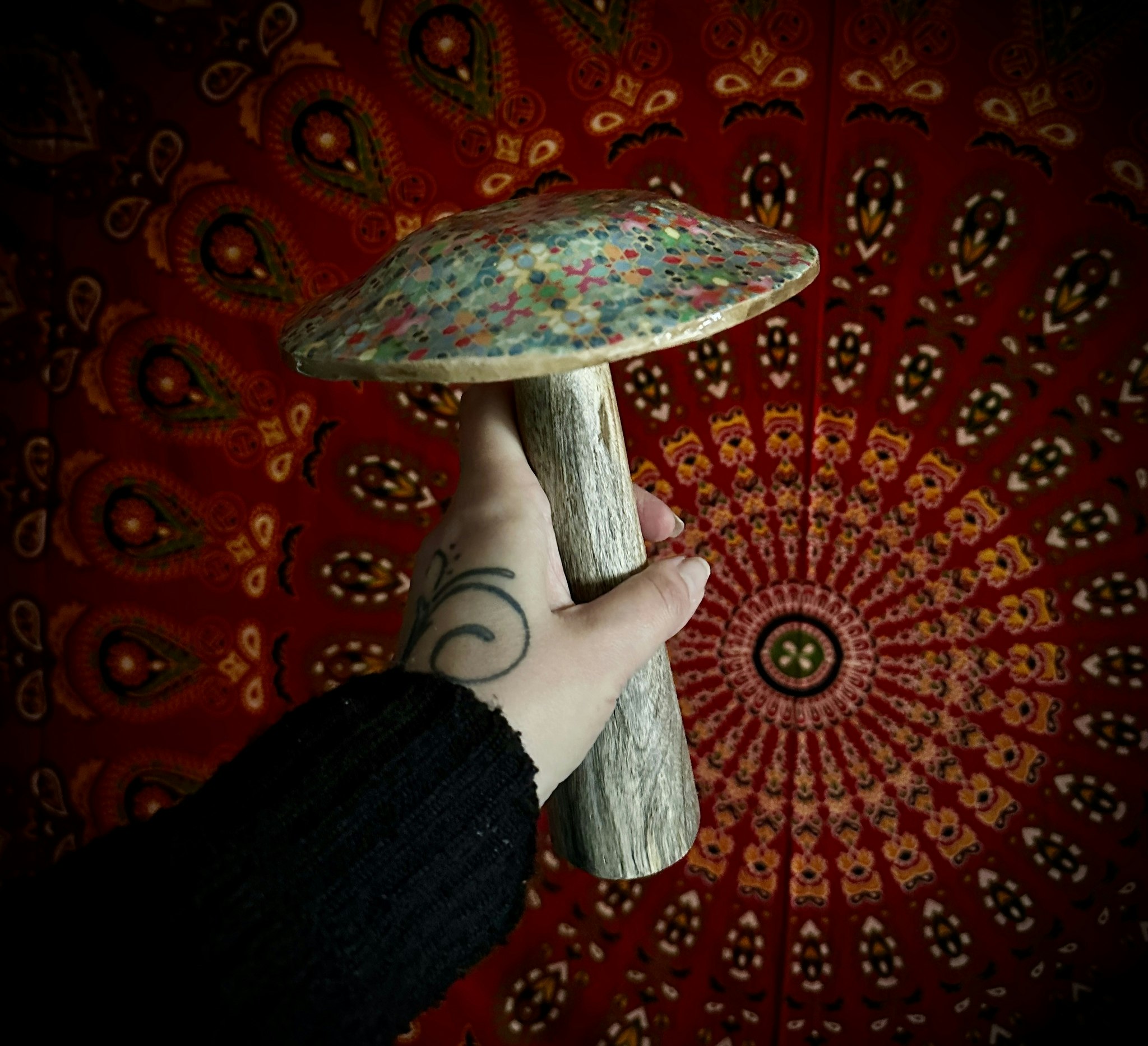 XL Svamp | Indien | 20 cm