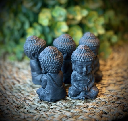 Shungit Buddha | 6 cm