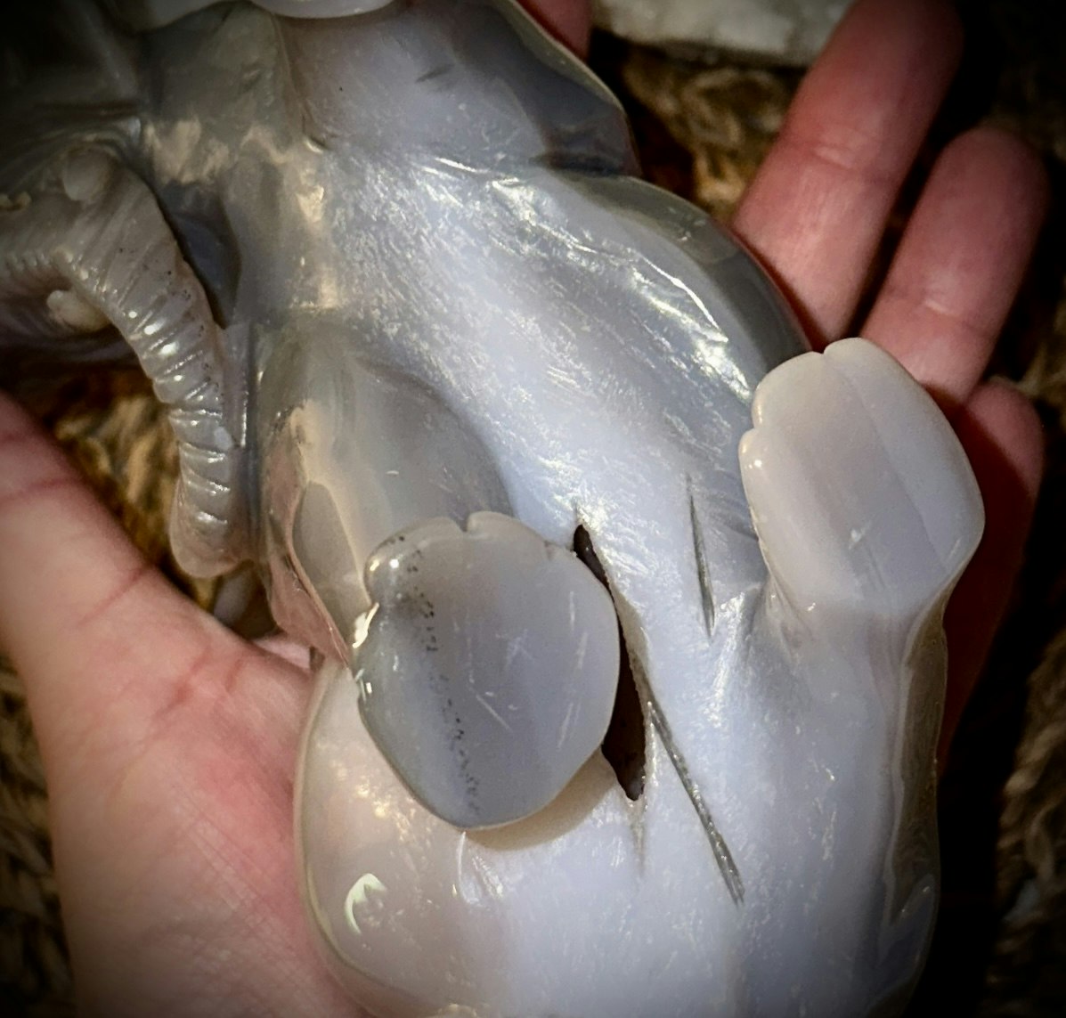 ”BODIL” Elefant Carving 1,4 kg