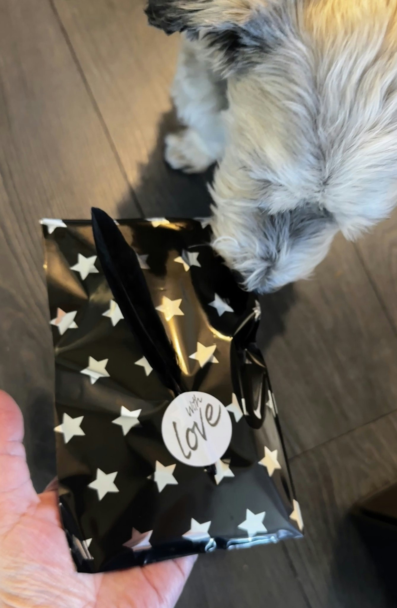 Muppens Surprise