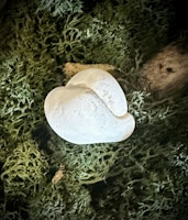 Fairy Stone | Älvsten