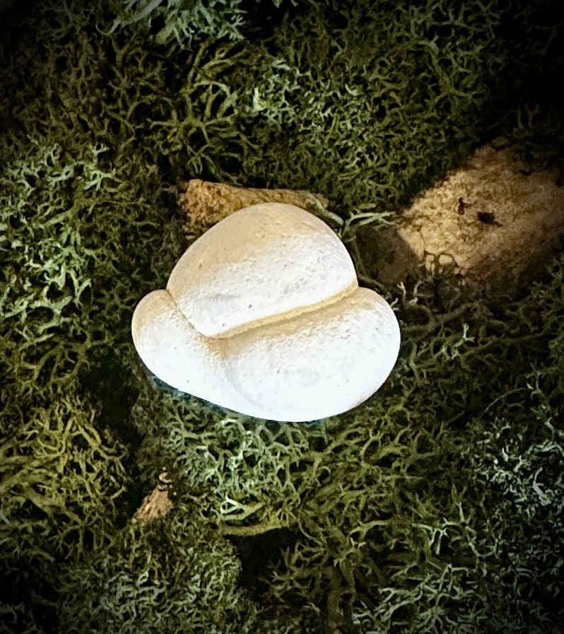 Fairy Stone | Älvsten