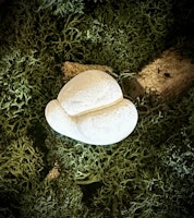Fairy Stone | Älvsten