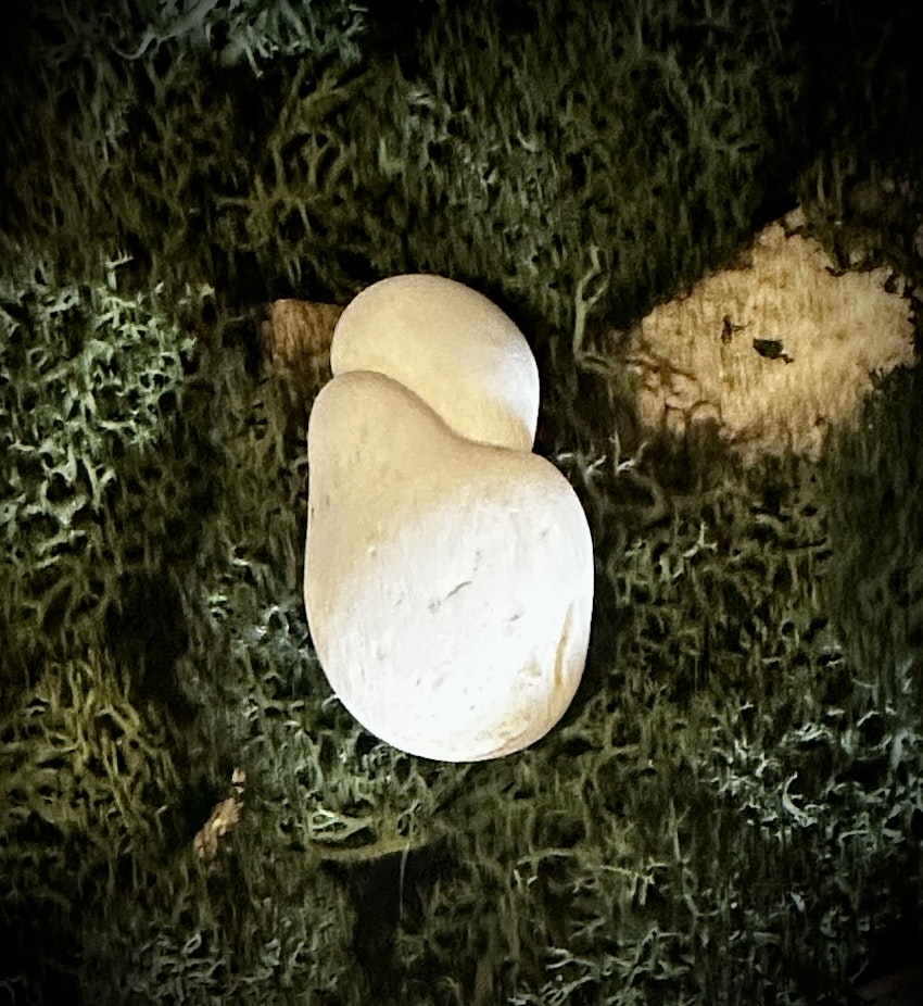 Fairy Stone | Älvsten