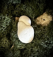 Fairy Stone | Älvsten