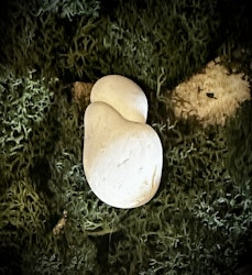 Fairy Stone | Älvsten