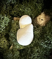 Fairy Stone | Älvsten