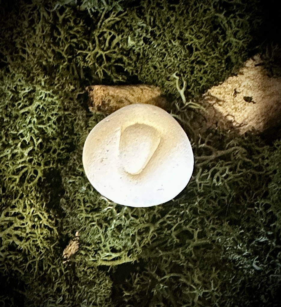 Fairy Stone | Älvsten